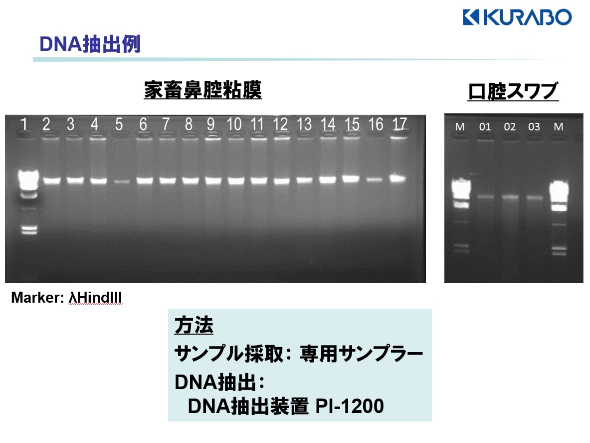 核酸抽出サービス 株式会社薬研社 受託オンライン Yakukensha Co Ltd Commissioned Research Online